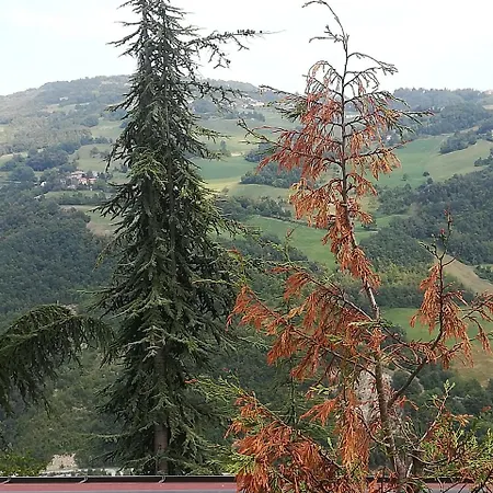 Domek letniskowy Le Due Querce *