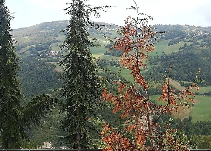 بيت خشبي Le Due Querce *